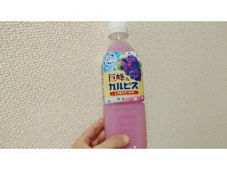 「アサヒ 巨峰＆カルピス ペット500ml」のクチコミ画像 by やっぺさん