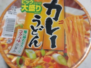 ビックシリーズ カレーうどん