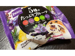 5種のたっぷりフルーツ リンゴ、レーズン、パイン、パパイヤ、プルーン