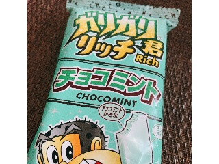 ガリガリ君 リッチチョコミント