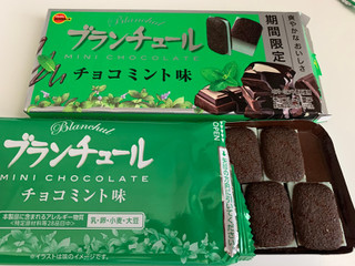 「ブルボン ブランチュール ミニチョコレート チョコミント味 箱12個」のクチコミ画像 by きりみちゃんさん
