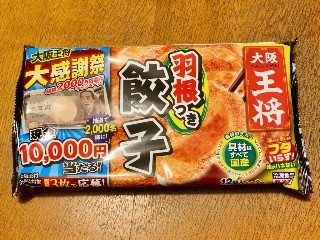 羽根つき餃子