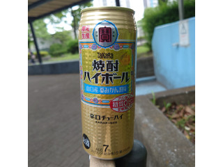 Amazon.co.jp: 宝 焼酎ハイボール 山口産夏みかん割り 350ml×2
