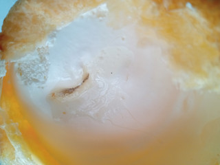 「オランジェ ひかえめに言ってクリーム多めのシュークリーム 瀬戸内レモン 袋1個」のクチコミ画像 by レビュアーさん