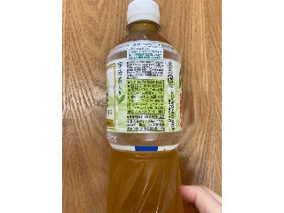 「セブンプレミアム はじめ 緑茶 静岡茶入り ペット500ml」のクチコミ画像 by こまつなさん