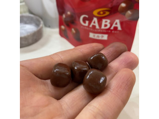 江崎グリコ メンタルバランスチョコレートGABA ミルク（江崎グリコ