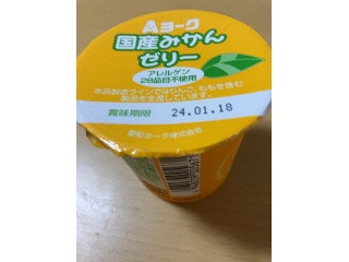 国産みかんゼリー