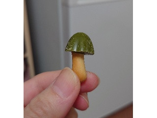 きのこの山 宇治抹茶