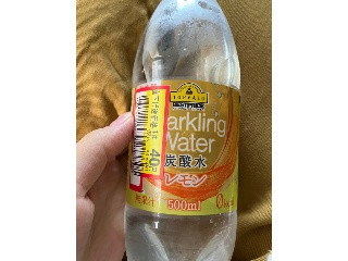 ベストプライス 炭酸水 レモン 強炭酸0kcal