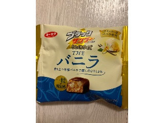 ブラックサンダーひとくちサイズ THEバニラ