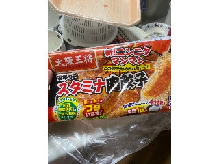 羽根つきスタミナ肉餃子