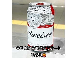 「ABInBev In バドワイザー 缶330ml」のクチコミ画像 by ビールが一番さん