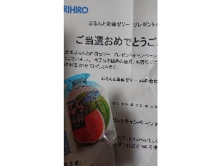 ぷるんと蒟蒻ゼリー スイカ