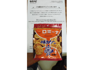 「MD ロミーナ 味カレー味 袋41g」のクチコミ画像 by あこあこねさん