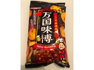 万国味博 ピリ辛麻辣風味