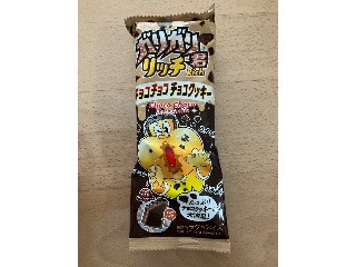 ガリガリ君リッチチョコチョコチョコクッキー