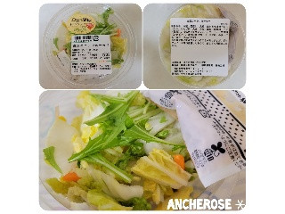 デリア食品 白菜のバラン酢サラダ