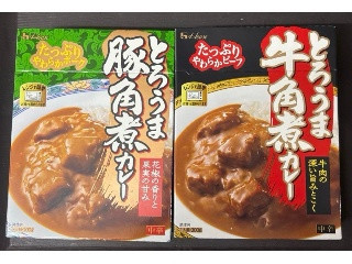 とろうま牛角煮カレー 中辛