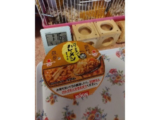 日清バターチキン カレーメシ まろやか
