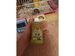 旬りんご 王林