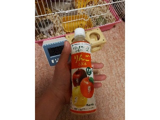 「伊藤園 ニッポンエール 長野県産 りんご三兄弟 ペット400g」のクチコミ画像 by ハムちゃんハムジさん