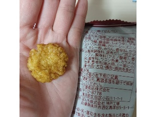 生活志向 カレー揚げせんべい
