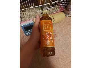 伊右衛門 ほうじ茶