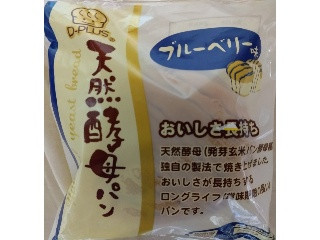 天然酵母パン ブルーベリー味