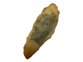 ささみ揚げ