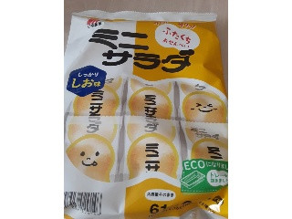 ミニサラダ しお味