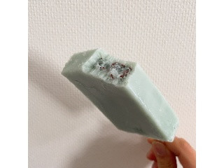 ガリガリ君リッチチョコミント