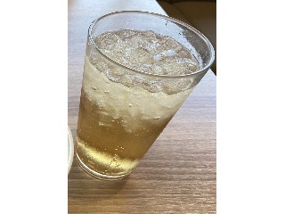 ゆず＆レモンジンジャーエール アロエ入り