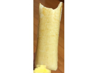 NL ホタカマスティック