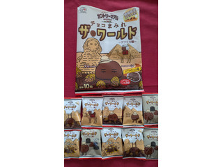 「不二家 カントリーマアム チョコまみれ ザ・ワールド アフリカ編 ミドルパック 袋102g」のクチコミ画像 by お菓子loveさん