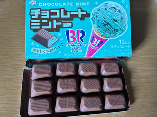 中評価】不二家 サーティワンチョコレート チョコレートミントの