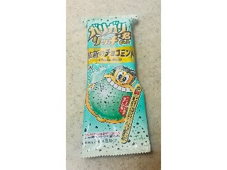 ガリガリ君リッチチョコミント