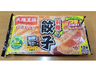 羽根つき餃子