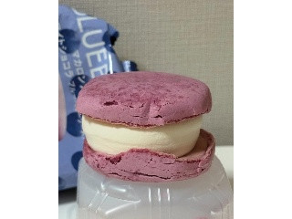 チョコレートバンク マカロンアイス