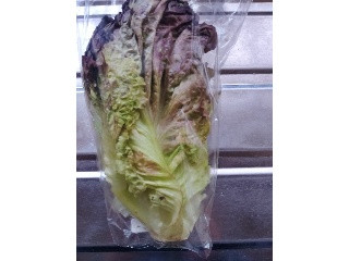 高評価】茨城県産 サニーレタスの感想・クチコミ・商品情報【もぐナビ】