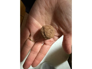 ファミリーマート 生チョコトリュフ