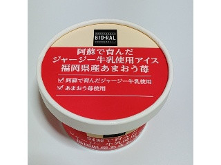 BIO‐RAL 阿蘇で育んだジャージー牛乳使用アイス 福岡県産あまおう苺