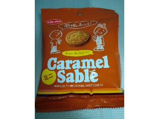 イトウ製菓 ミスターイトウ キャラメルサブレミニ 1袋