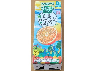野菜生活100 広島ネーブルオレンジ＆はっさくミックス