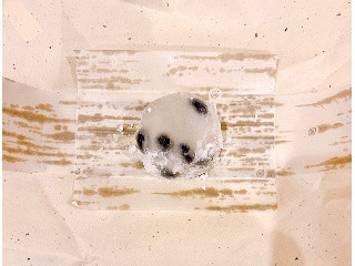 仙太郎 黒豆大福