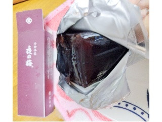 小形羊羹 夜の梅