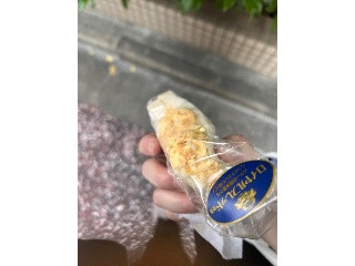 デイリーホット
