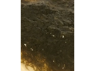 味付け糸もずく 黒酢