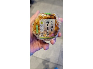 ニュータス 梅しそつくねおにぎり