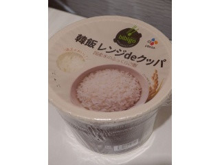 FOODS JAPAN ビビゴ 韓飯 レンジdeクッパ カルビクッパ