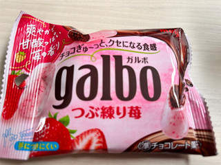 中評価】「料金高いけど質で勝負するシリーズ。 いち - 明治 ガルボ